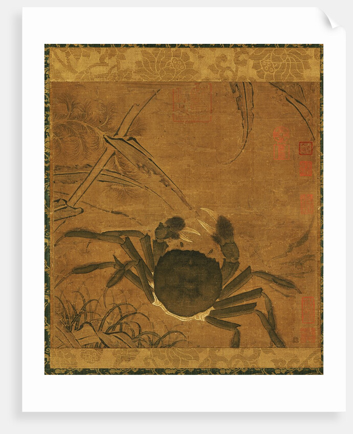 Crab among Grass and Bamboo by Anonymous