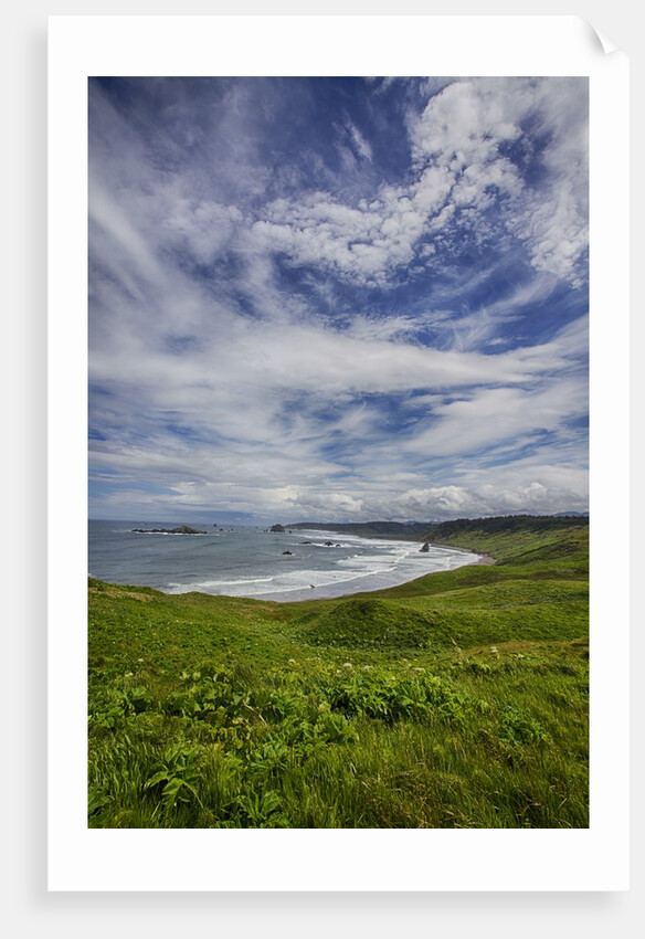 Coastline of Southern Oregon state by Anonymous