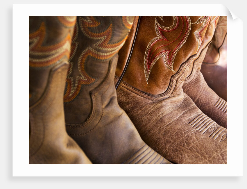 Line up of new cowboy boots in Old Scottsdale by Anonymous