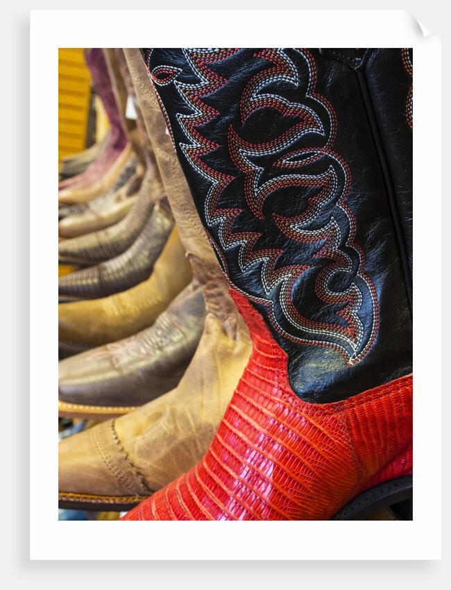 Line up of new cowboy boots in Old Scottsdale by Anonymous
