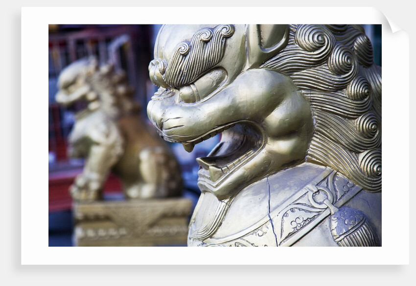 Statue Detail Summer Palace by Anonymous