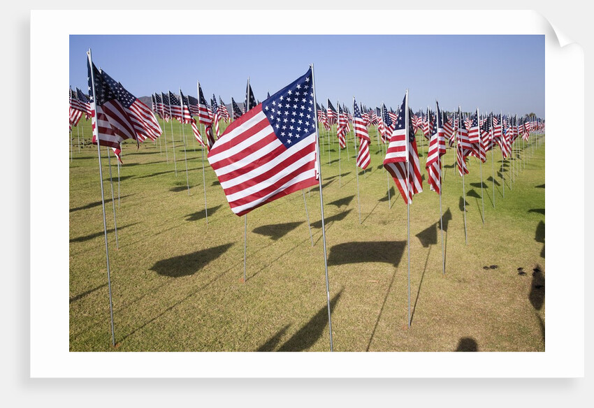 US Flags for 9/11 Memorial by Anonymous