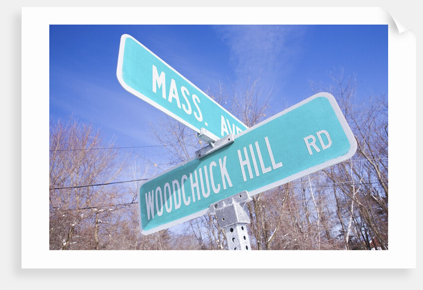 Mass Avenue Road Sign by Anonymous