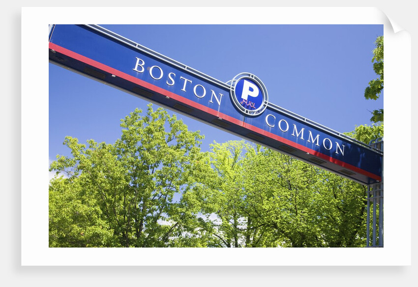 Boston Common Street Sign, Boston, MA by Anonymous