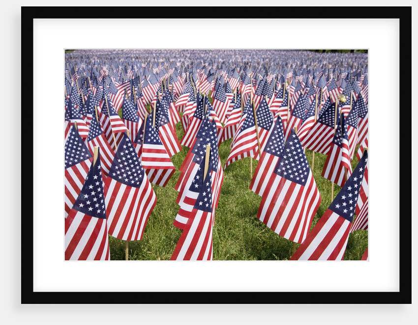 20,000 American Flags for Memorial Day, Boston Commons, Boston, MA by Anonymous
