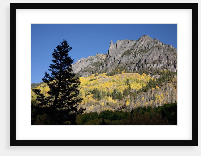 San Juan Mountains and autumn color behind Telluride, CO off mining road by Anonymous