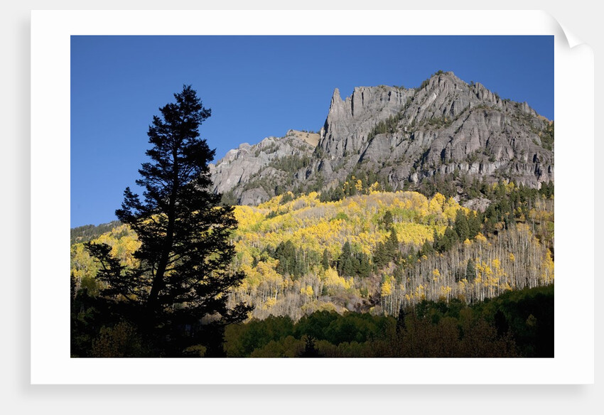 San Juan Mountains and autumn color behind Telluride, CO off mining road by Anonymous