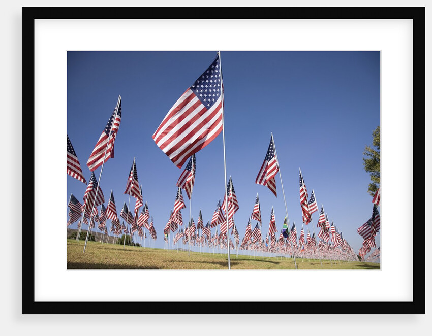 US Flags for 9/11 Memorial by Anonymous