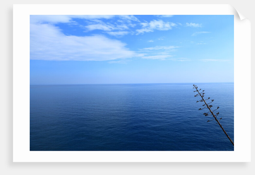 Baia de Tossa by Anonymous