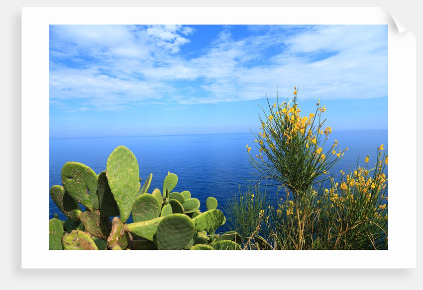 Baia de Tossa by Anonymous