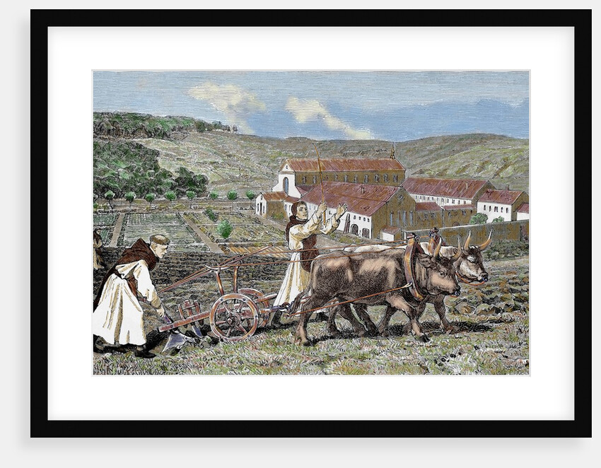 Monks ploughing the land with oxen. Germany. by Anonymous