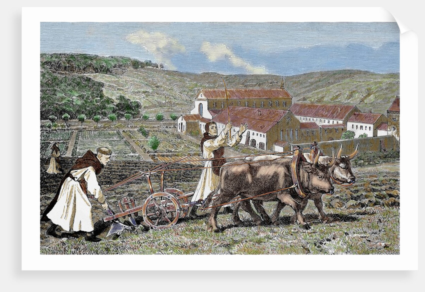 Monks ploughing the land with oxen. Germany. by Anonymous