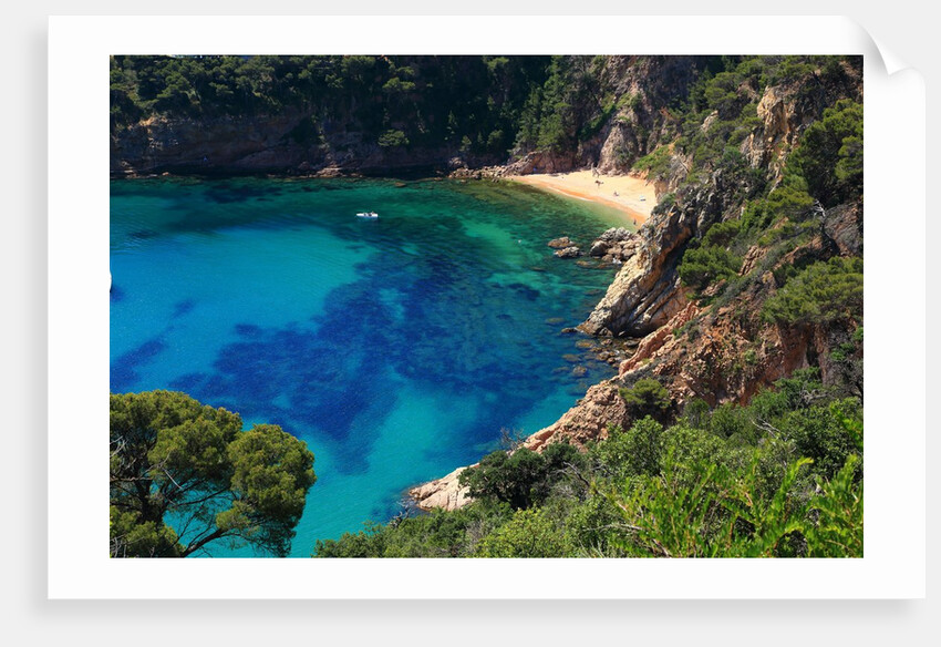 View of the coast from the panoramic road to Sant Feliu de Guixols by Anonymous