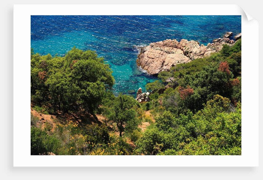 View of the coast from the panoramic road to Sant Feliu de Guixols by Anonymous