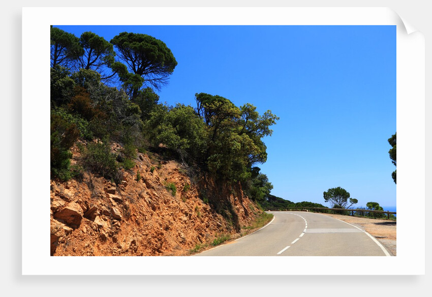 View of the coast from the panoramic road to Sant Feliu de Guixols by Anonymous