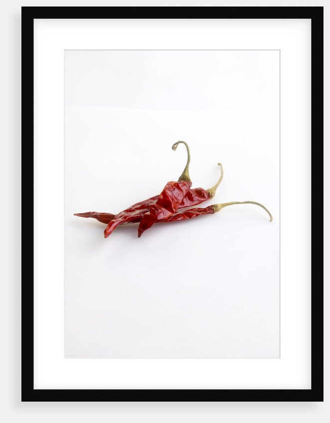 Dried deArbol chiles by Anonymous