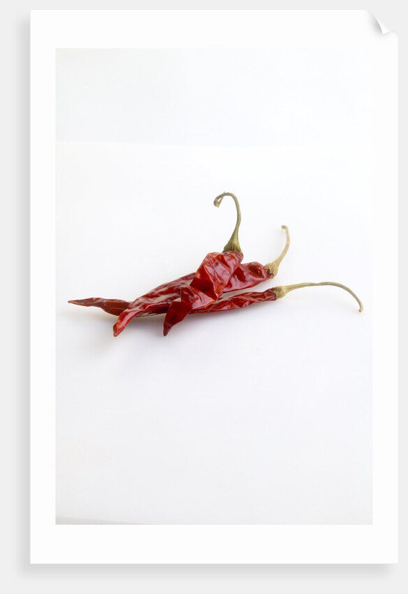 Dried deArbol chiles by Anonymous