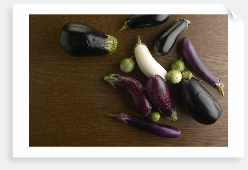 Eggplant by Anonymous
