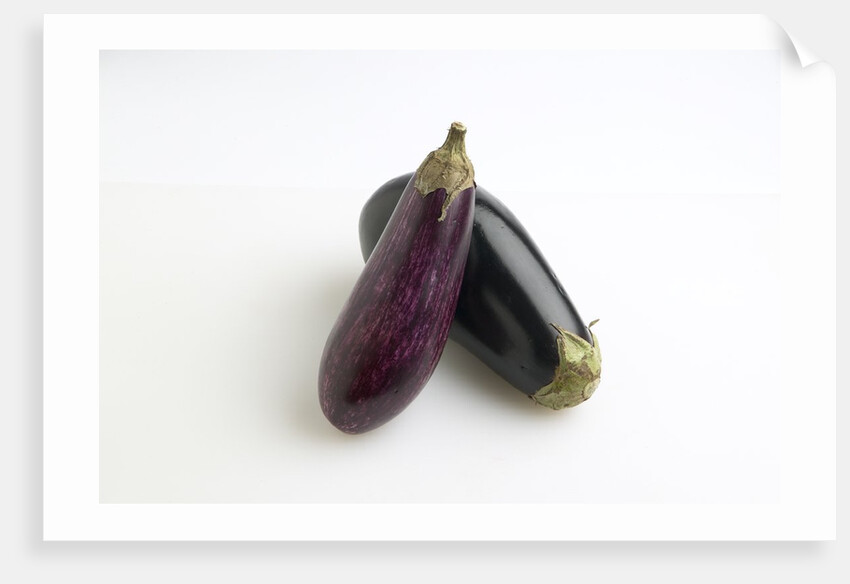 Eggplant by Anonymous