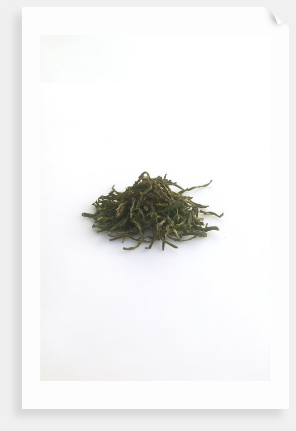 Jasmine tea by Anonymous