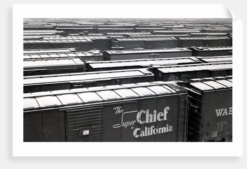 Railroad boxcars in rail yard, Chicago, Illinois, USA, ca. 1950 by Anonymous