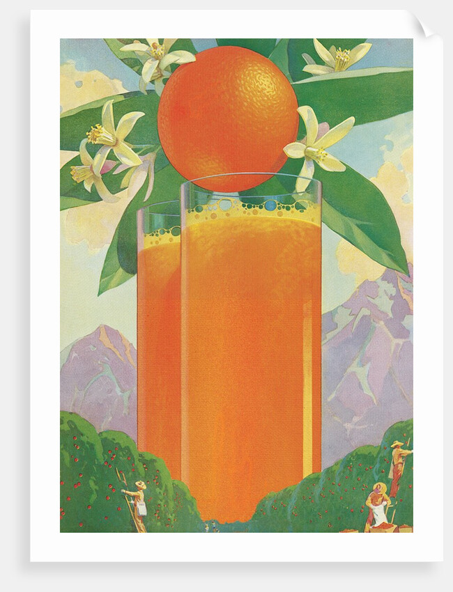 Giant Glasses of Orange Juice by Anonymous