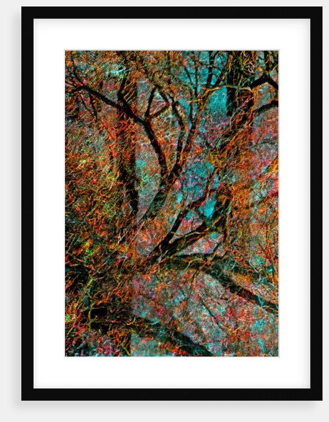 Tree by Anonymous