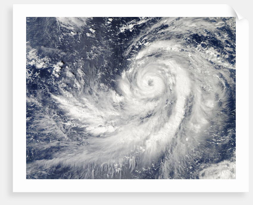 Satellite image of Typhoon Francisco over the Pacific Ocean by Anonymous