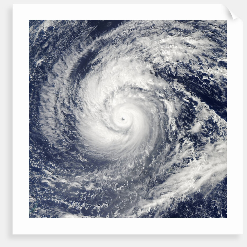 Satellite image of Typhoon Francisco over the Paciific Ocean by Anonymous
