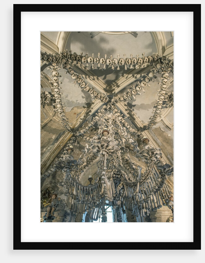 Bone Chandelier by Anonymous