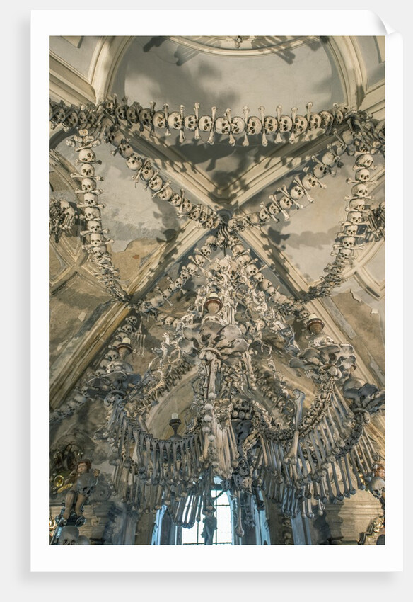 Bone Chandelier by Anonymous