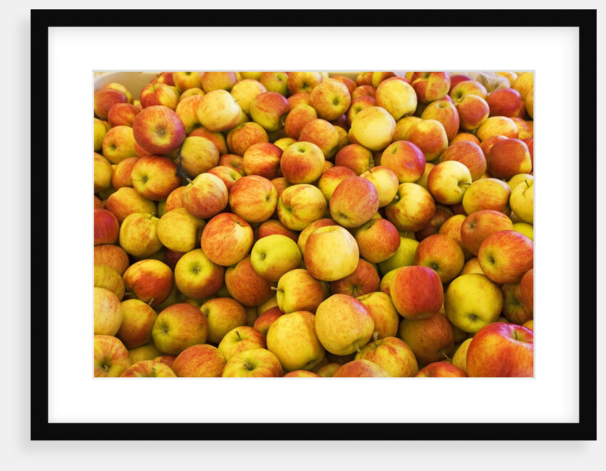 apples by Anonymous