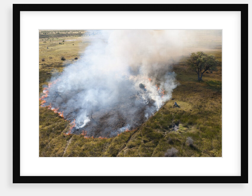 Bushfire in the Okavango Delta by Anonymous