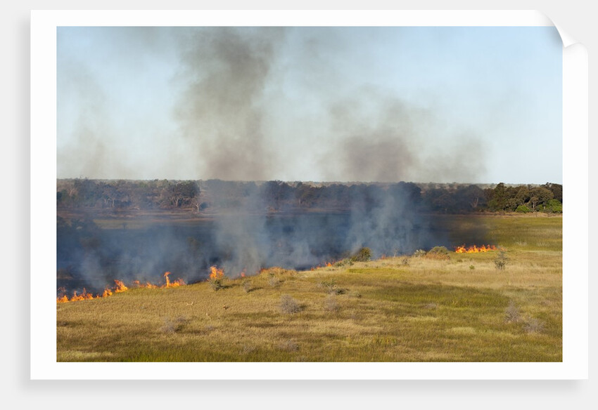 Bushfire in the Okavango Delta by Anonymous