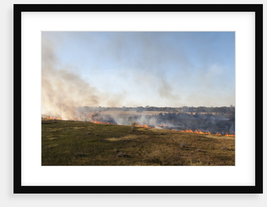 Bushfire in the Okavango Delta by Anonymous