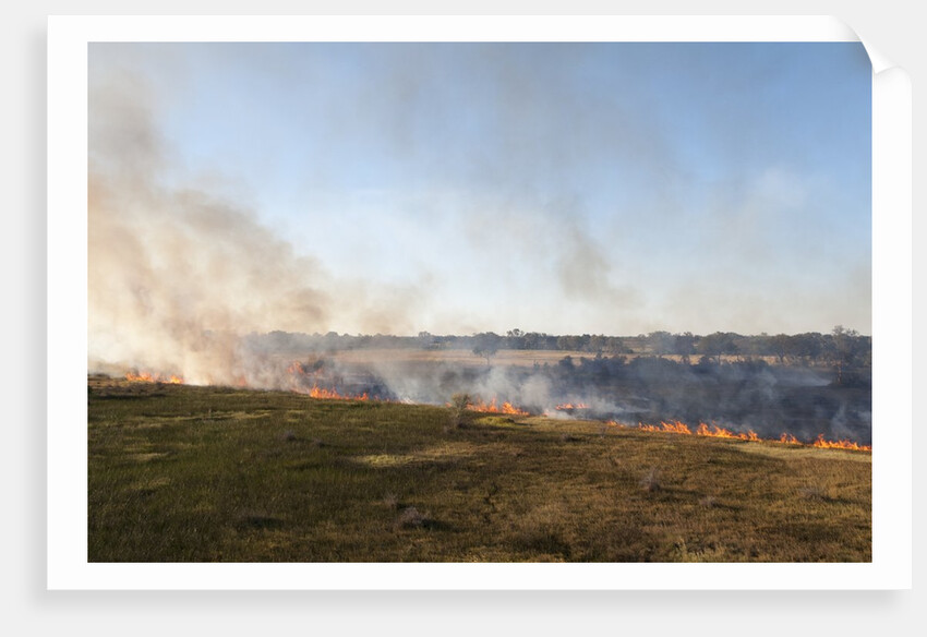Bushfire in the Okavango Delta by Anonymous