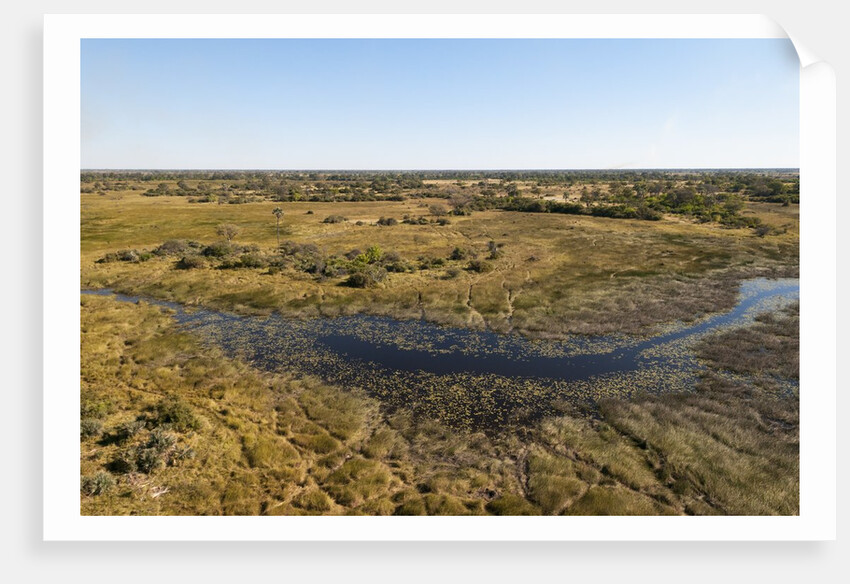 Aerial view of Okavango Delta by Anonymous