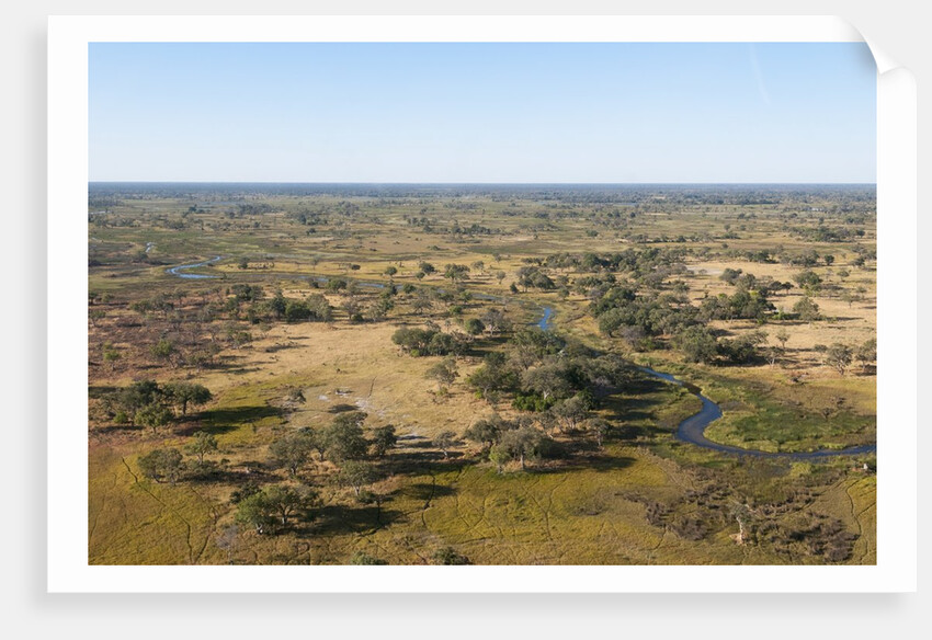 Aerial view of Okavango Delta by Anonymous