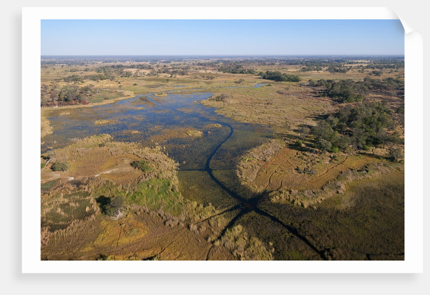 Aerial view of Okavango Delta by Anonymous