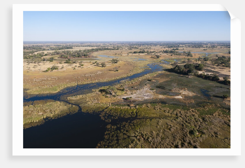 Aerial view of Okavango Delta by Anonymous