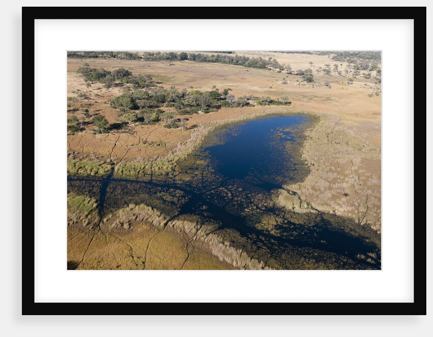 Aerial view of Okavango Delta by Anonymous