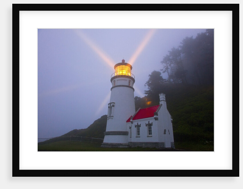 Fog adds beauty to sunrise at Heceta Head Lighthouse, Oregon Coast by Anonymous