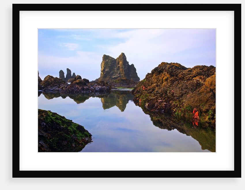 Starfish and rock formations along Indian Beach, Oregon Coast by Anonymous