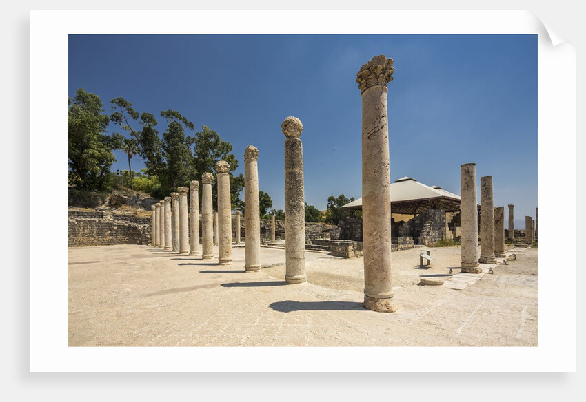 Beit She'an National Park (Scythopolis), the Western Bathhouse by Anonymous