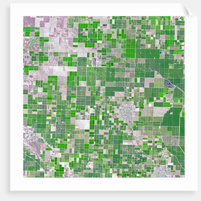 Agricultural fields near Wasco, California by Anonymous