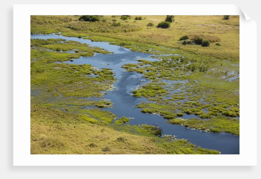 Okavango Delta Aerial by Anonymous