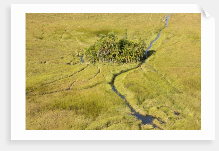 Okavango Delta Aerial by Anonymous