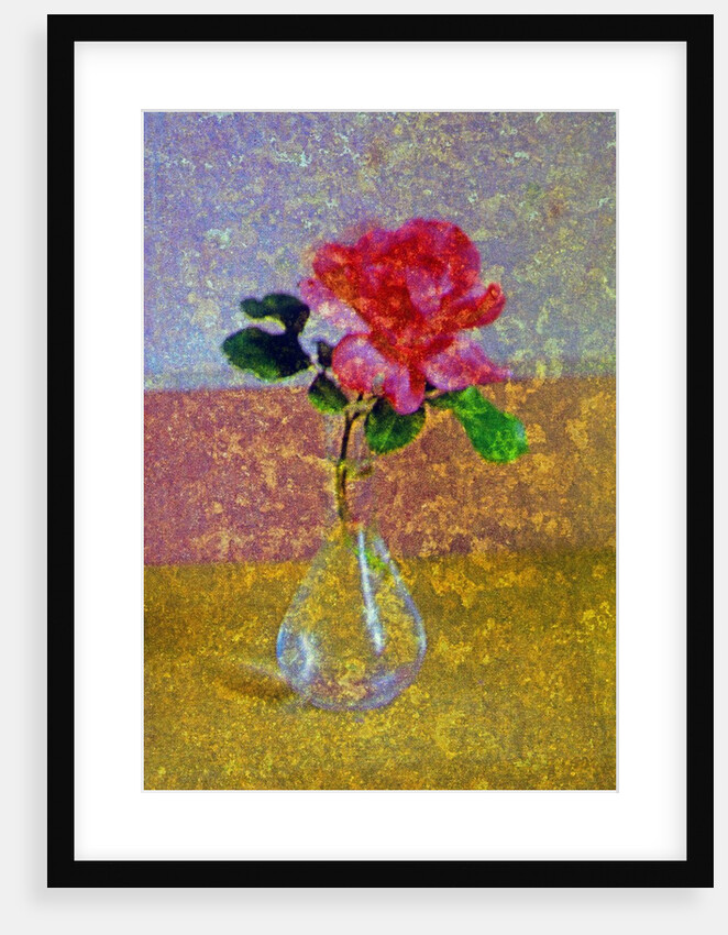 Flower Vase by Anonymous