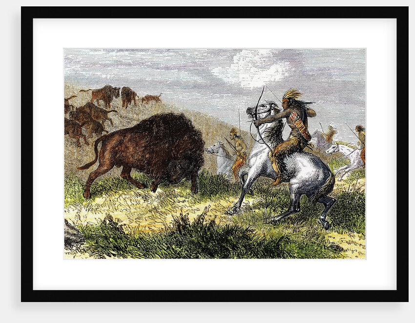 Indians hunting bison. by Anonymous