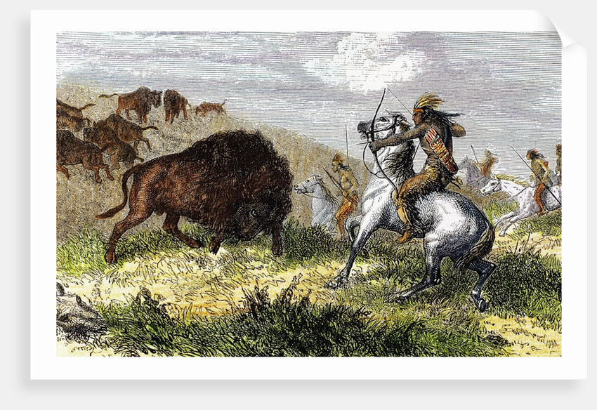 Indians hunting bison. by Anonymous
